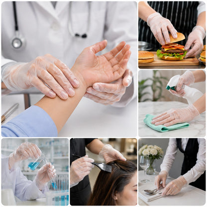 Capri Premium Vinyl Gloves Powder Free Large Clear 1000 Pcs (10 X 100pcs) - C-GV0006