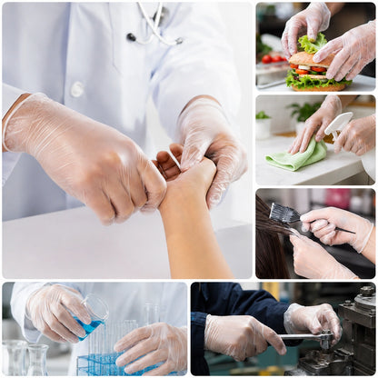 Capri Premium Vinyl Gloves Powder Free Medium Clear 1000 Pcs (10 X 100pcs) - C-GV0005