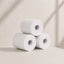 Scott 4419 Roll Hand Towel (1 Ply 12 x 100M Roll)