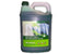 Biogreen Anti Bacterial Dishwashing Liquid 5L